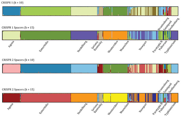 DISTRUCT diagram depicting clusters based on CRISPR spacer similarity.